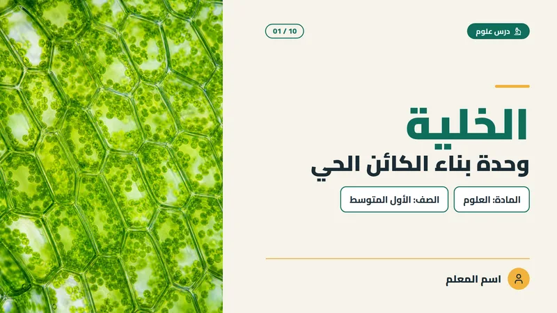 قالب عرض تقديمي